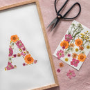 kit-diy-herbier-lettre