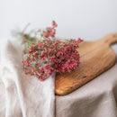 limonium-rouge-botte-fleurs-sechees