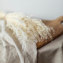 botte-fleurs-sechees-mini-grass-blanche-flowrette