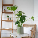 Cache-pot Céramique kaki