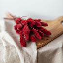 botte-fleurs-sechees-flowrette-setaire-rouge